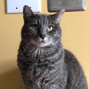 Meet your Posher, Lindsay